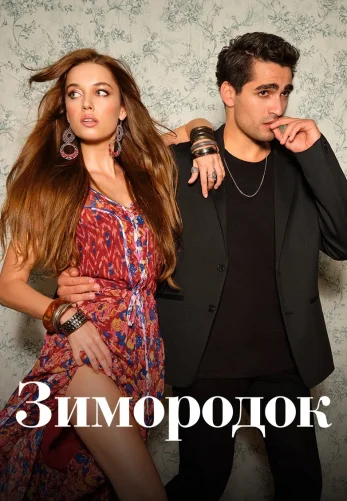 Зимородок 3 сезон 99 серия русская озвучка Turok1990 смотреть бесплатно онлайн